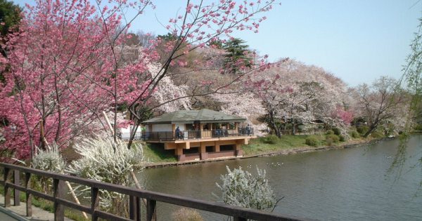 Công viên Mitsuke (tỉnh Kanagawa)
