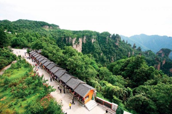 Công viên rừng quốc gia Trương Gia Giới