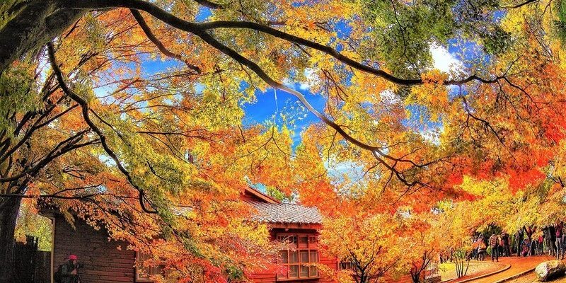 Tour Đài Loan tháng 10 là sự lựa chọn lý tưởng