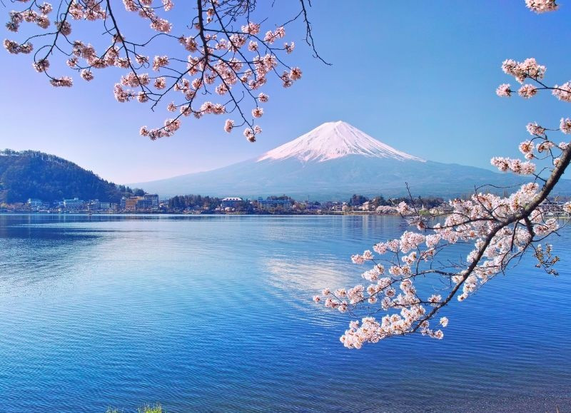 Ngắm cảnh mùa xuân thơ mộng tại hồ Kawaguchi Ngắm cảnh mùa xuân thơ mộng tại hồ Kawaguchi