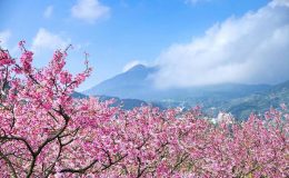 Tổng quan thời tiết Đài Loan tháng 4