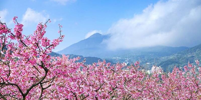 Tổng quan thời tiết Đài Loan tháng 4