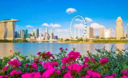 Singapore vào mùa hè luôn rực rỡ và sôi động