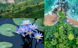 Sri Lanka là điểm đến nổi bật của du lịch châu Á