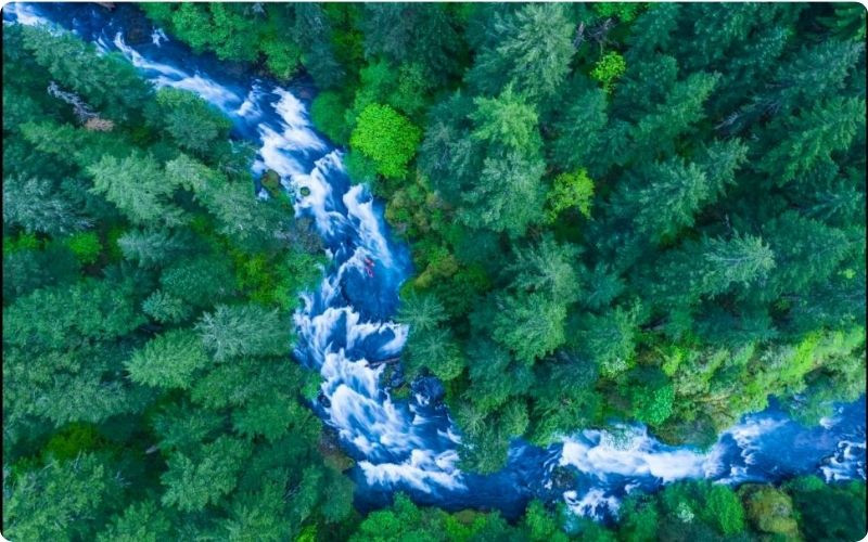Toàn cảnh Hồ Kaindy với khu rừng chìm giữa dãy Tian Shan Toàn cảnh Hồ Kaindy với khu rừng chìm giữa dãy Tian Shan