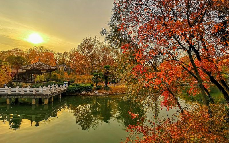 Tiết trời lý tưởng để thong thả khám phá Nam Kinh